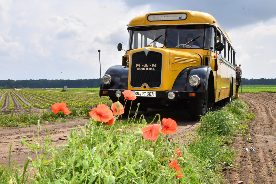Kraftpostbus MAN 630 aus dem Jahr 1956 auf einem Feldweg im Knoblauchsland